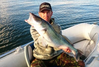 Starkis, 5,2 kg