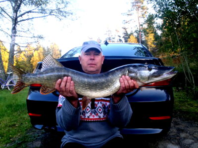 Lydeka, 6,1 kg — Drevviken