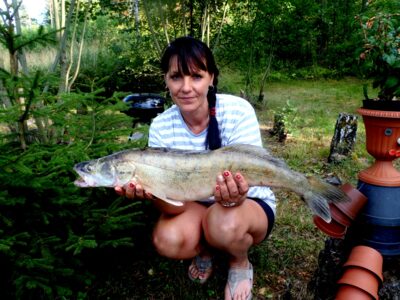 Starkis — Baltijos jūra