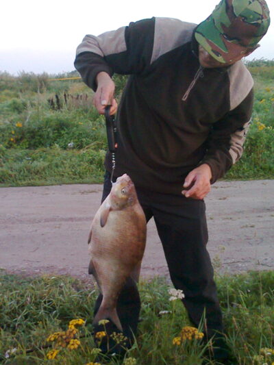 Karšis, 2,9 kg