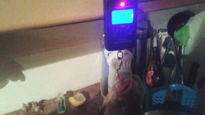 Lynas, 1,9 kg