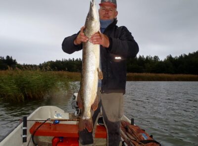 Lydeka, 8,9 kg — Träsksjön