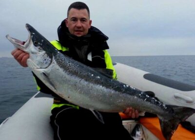 Atlantinė lašiša, 13,0 kg