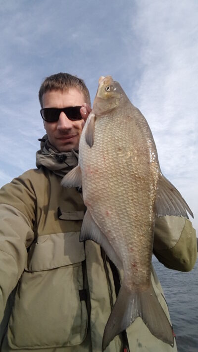 Karšis, 2,2 kg