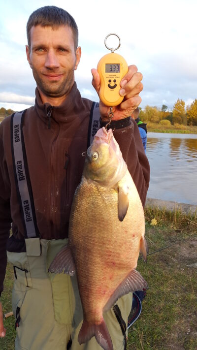 Karšis, 3,3 kg