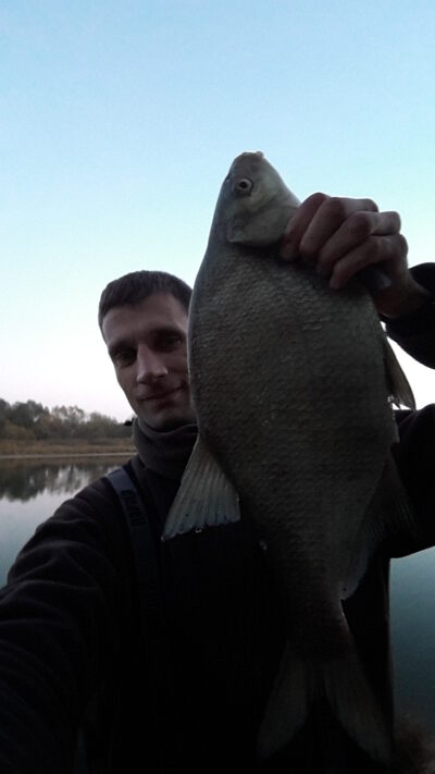 Karšis, 2,1 kg