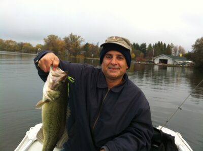 Largemouth Bass — Wilcox Lake