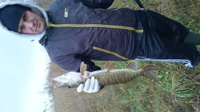 Lydeka, 0,6 kg