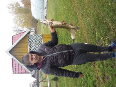 Lydeka, 2,3 kg — Nevočių
