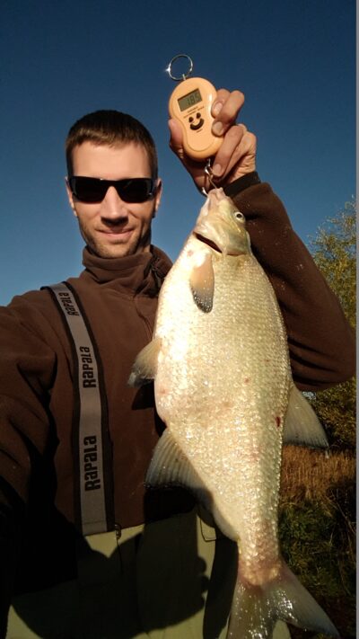 Karšis, 1,8 kg
