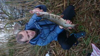 Lydeka, 1,7 kg