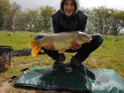 Paprastasis karpis, 4,7 kg