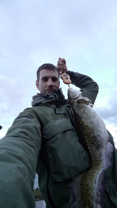 Vėgėlė, 3,3 kg