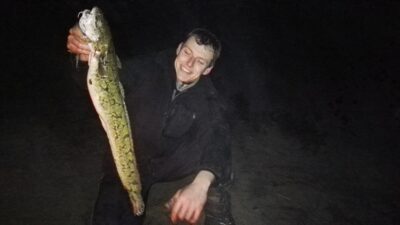Vėgėlė, 1,9 kg — Nemunas