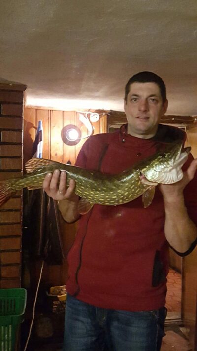 Lydeka, 3,1 kg