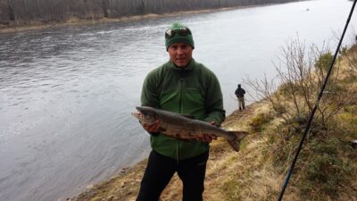 Atlantinė lašiša, 4,2 kg — Варзуга