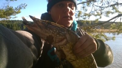 Lydeka, 2,0 kg — Tunevannet