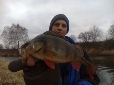 Ešerys, 0,4 kg — Nevėžis