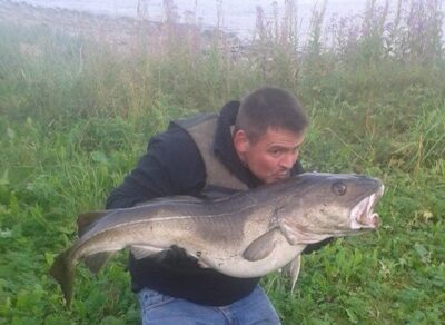 Menkė, 15,0 kg — Norvegijos jūra