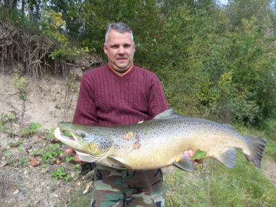 Atlantinė lašiša, 13,6 kg