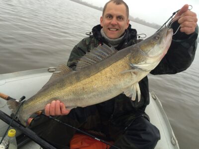 Starkis, 6,4 kg