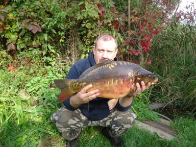 Paprastasis karpis, 7,0 kg — Smulkis