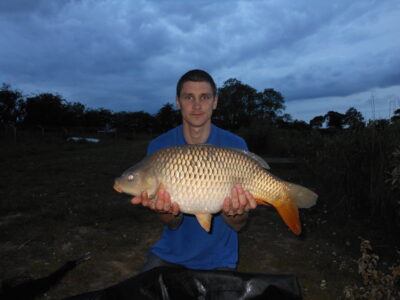 Paprastasis karpis, 6,4 kg