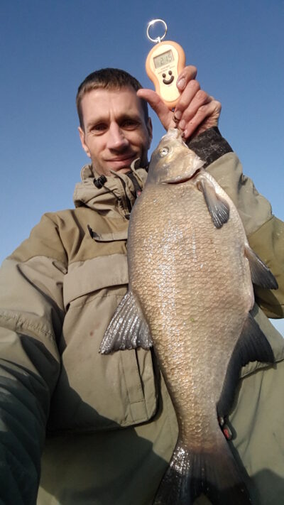 Karšis, 2,2 kg