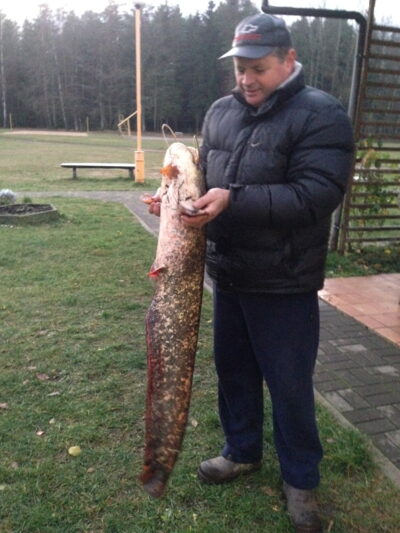 šamas, 9,8 kg