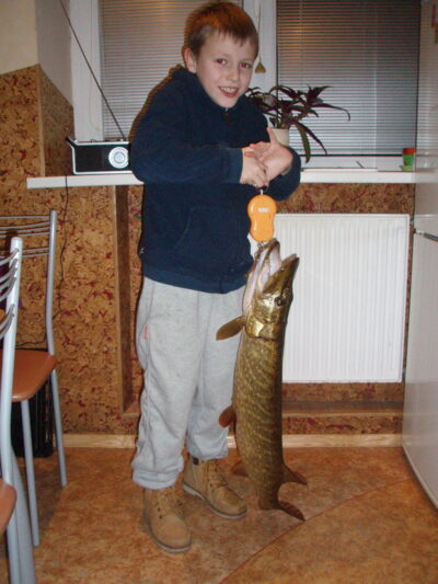 Lydeka, 4,2 kg