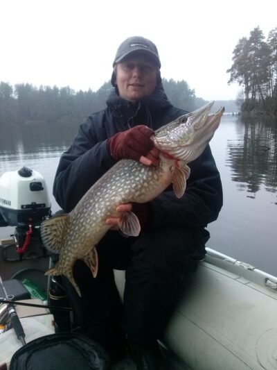Lydeka, 5,0 kg — Grūda