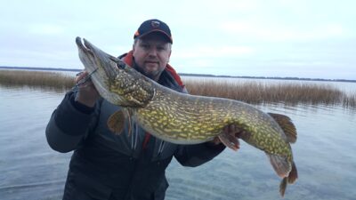 Lydeka, 12,8 kg