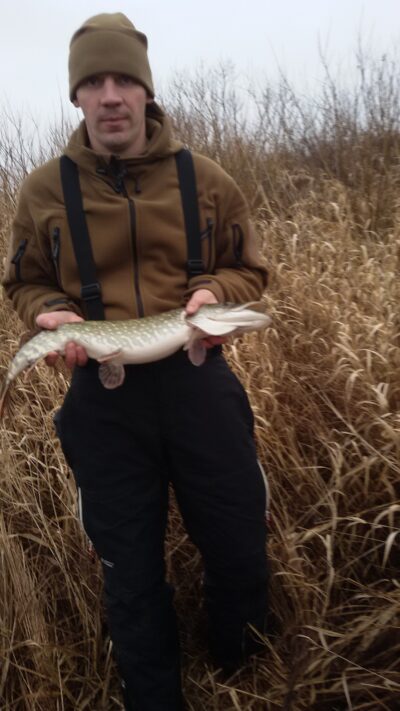 Lydeka, 1,9 kg — Merguva