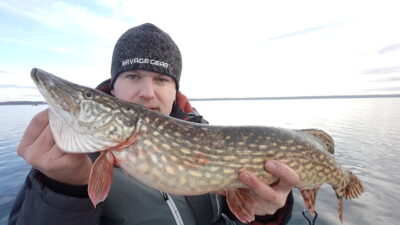 Lydeka, 2,9 kg