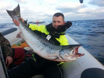 Atlantinė lašiša, 9,2 kg — Baltijos jūra