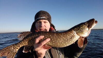 Lydeka, 3,2 kg