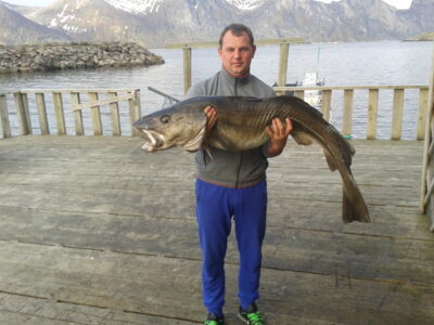 Menkė, 25,0 kg