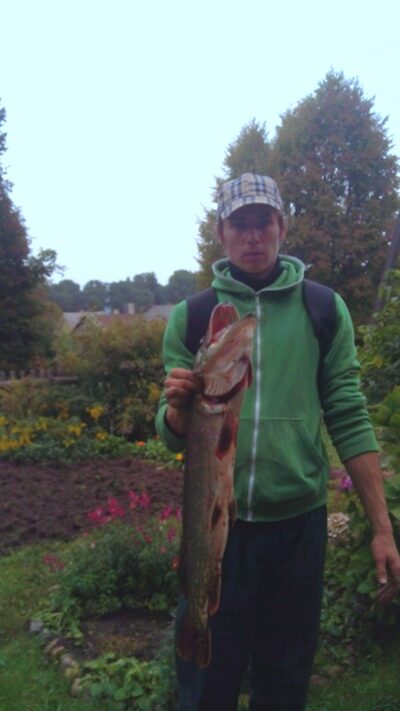 Lydeka, 3,7 kg