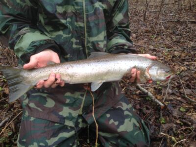 Šlakis, 2,0 kg — Žeimena