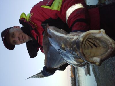 Paprastasis otas, 15,0 kg