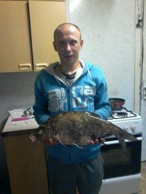 Karšis, 2,8 kg
