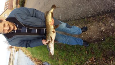 Lydeka, 4,9 kg