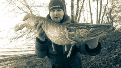 Lydeka, 7,5 kg