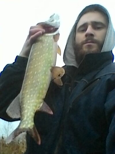 Lydeka, 2,6 kg