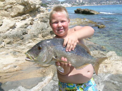 , 3,0 kg — Old Spain