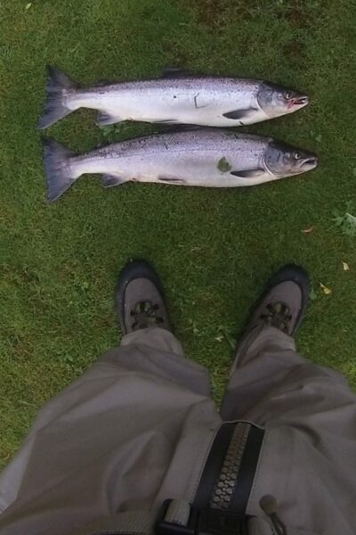 Atlantinė lašiša, 3,9 kg — Loch Tay