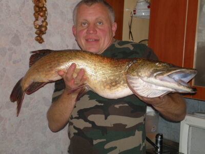 Lydeka, 9,0 kg — Ežerėlis
