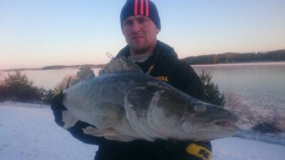 Starkis, 6,3 kg — Dviragis