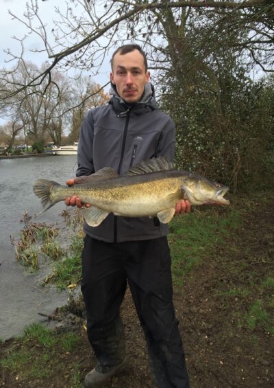 Starkis, 6,2 kg