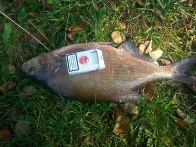 Karšis, 3,2 kg — Ančia